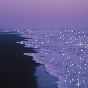 Meet your Posher, Taryn